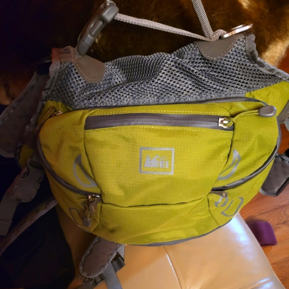 REI Pet Travel Backpack Harness